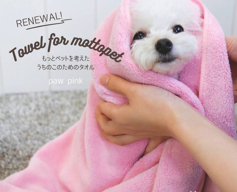 限定プレゼント