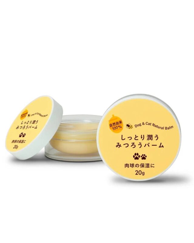 限定プレゼント