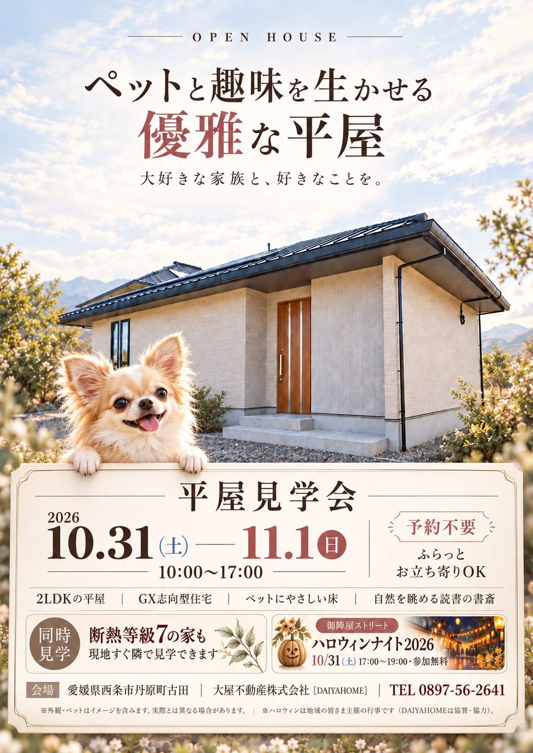 平屋見学会チラシ。青空の下の平屋外観とチワワ、「ペットと趣味を生かせる優雅な平屋」の見出し、2026年10月31日（土）・11月1日（日）10:00〜17:00・予約不要の案内、会場は愛媛県西条市丹原町古田、問い合わせ先0897-56-2641